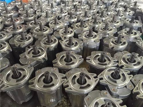 B1FL双联齿轮泵工作原理及其在机电配件中的应用解析